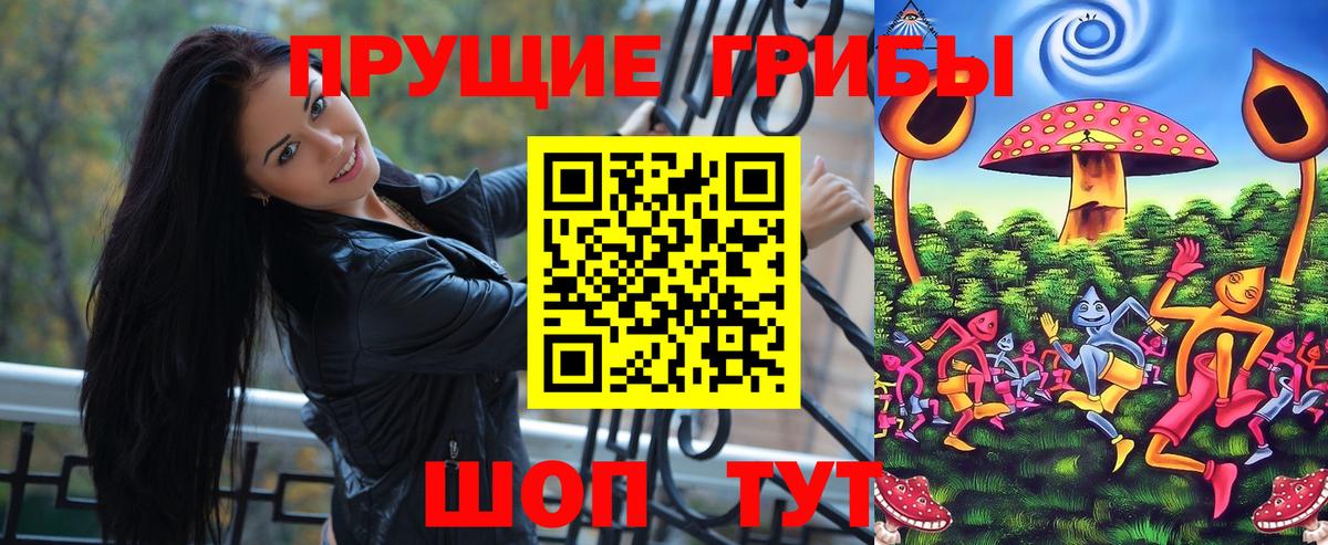 Бузулук  Псилоцибиновые грибы Psilocybine cubensis  наркотики  Вход с VPN 
